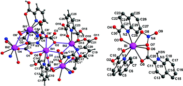 Graphical abstract: Coordinatively polymeric and monomeric bismuth(iii) complexes with pyridine carboxylic acids