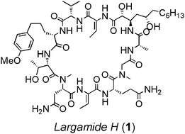 Graphical abstract: Total synthesis of largamide H