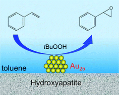 Graphical abstract: Efficient and selective epoxidation of styrene with TBHP catalyzed by Au25 clusters on hydroxyapatite