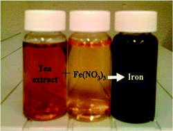 Graphical abstract: In vitro biocompatibility of nanoscale zerovalent iron particles (NZVI) synthesized using tea polyphenols