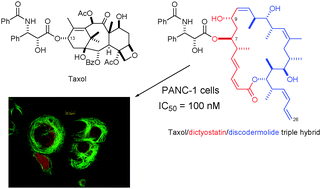 Graphical abstract: Total synthesis of a library of designed hybrids of the microtubule-stabilising anticancer agents taxol, discodermolide and dictyostatin