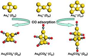 Graphical abstract: Adsorption-induced structural changes of gold cations from two- to three-dimensions