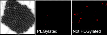 Graphical abstract: Highly PEGylated silica nanoparticles: “ready to use” stealth functional nanocarriers