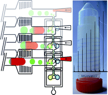 Graphical abstract: An automated two-phase microfluidic system for kinetic analyses and the screening of compound libraries