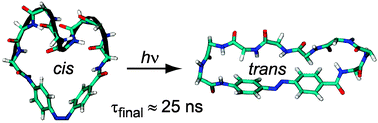 Graphical abstract: Relaxation time prediction for a light switchable peptide by molecular dynamics