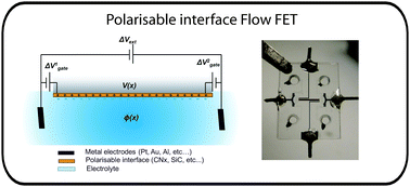 Graphical abstract: Flow field effect transistors with polarisable interface for EOF tunable microfluidic separation devices
