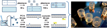 Graphical abstract: Air-stable supported membranes for single-cell cytometry on PDMS microchips