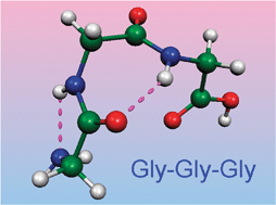 Graphical abstract: Structure of the gas-phase glycine tripeptide
