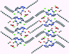 Graphical abstract: Long tailed cage amines: Synthesis, metal complexation, and structure