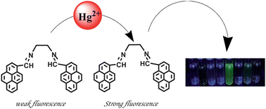 Graphical abstract: Highly effective chemosensor for mercury ions based on bispyrenyl derivative