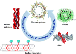 Graphical abstract: Macromolecular multi-chromophoric scaffolding