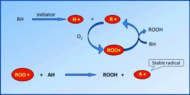 Graphical abstract: Lipid oxidation and improving the oxidative stability