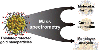 Graphical abstract: Characterization of thiolate-protected gold nanoparticles by mass spectrometry