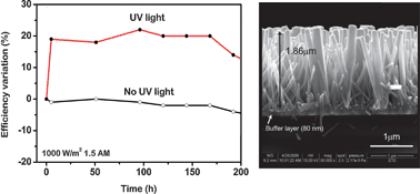 Graphical abstract: Dye sensitized solar cells based on vertically-aligned ZnO nanorods: effect of UV light on power conversion efficiency and lifetime