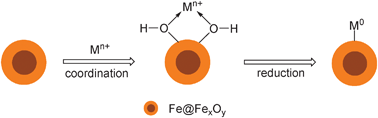 Graphical abstract: Iron/iron oxide nanoparticles: a versatile support for catalytic metals and their application in Suzuki–Miyaura cross-coupling reactions