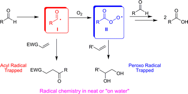 Graphical abstract: Straightforward radical organic chemistry in neat conditions and “on water”