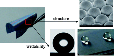 Graphical abstract: Fabrication of flexible superhydrophobic biomimic surfaces