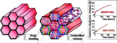 Graphical abstract: New developments in ordered mesoporous materials for drug delivery