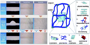 Graphical abstract: A review of actively moving polymers in textile applications
