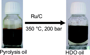 Graphical abstract: Insights in the hydrotreatment of fast pyrolysis oil using a ruthenium on carbon catalyst