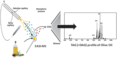 Graphical abstract: Instantaneous characterization of vegetable oils via TAG and FFA profiles by easy ambient sonic-spray ionization mass spectrometry