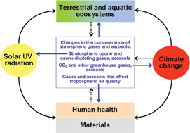 Graphical abstract: Environmental effects of ozone depletion and its interactions with climate change: progress report, 2009