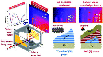 Graphical abstract: Solvent vapor annealing of an insoluble molecular semiconductor