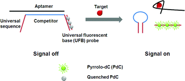 Graphical abstract: Pyrrolo-dC based fluorescent aptasensors for the molecular recognition of targets