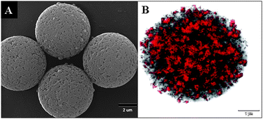 Graphical abstract: Synthesis of magnetic iron and iron oxide micrometre-sized composite particles of narrow size distribution by annealing iron salts entrapped within uniform porous poly(divinylbenzene) microspheres