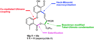 Graphical abstract: Total synthesis of (±)-aspercyclide A and its C19 methyl ether
