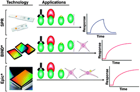 Graphical abstract: High-throughput screening for modulators of protein–protein interactions: use of photonic crystal biosensors and complementary technologies