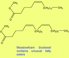Graphical abstract: Biodiesel from meadowfoam (Limnanthes alba L.) seed oil: oxidative stability and unusual fatty acid composition