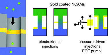 Graphical abstract: Electrokinetic control of fluid transport in gold-coated nanocapillary array membranes in hybrid nanofluidic–microfluidic devices