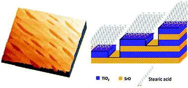 Graphical abstract: Tuning the local frictional and electrostatic responses of nanostructured SrTiO3—surfaces by self-assembled molecular monolayers
