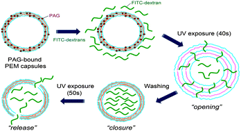 Graphical abstract: UV-triggered encapsulation and release from polyelectrolyte microcapsules decorated with photoacid generators