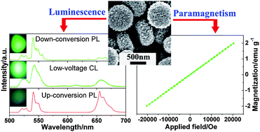 Graphical abstract: Down- and up-conversion photoluminescence, cathodoluminescence and paramagnetic properties of NaGdF4 : Yb3+,Er3+ submicron disks assembled from primary nanocrystals