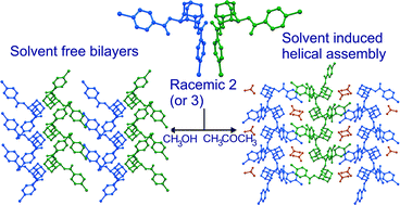 Graphical abstract: Helical self-assembly of molecules in pseudopolymorphs of racemic 2,6-di-O-(4-halobenzoyl)-myo-inositol 1,3,5-orthoformates: clues for the construction of molecular assemblies for intermolecular acyl transfer reaction