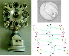 Graphical abstract: Searching for novel crystal forms by in situ high-pressure crystallisation: the example of gabapentin heptahydrate