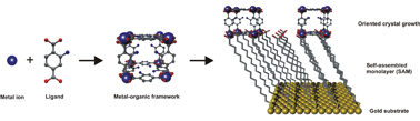 Graphical abstract: Oriented growth of the functionalized metal–organic framework CAU-1 on –OH- and –COOH-terminated self-assembled monolayers