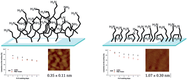 Graphical abstract: Functionalization of cycloolefin polymer surfaces by plasma-enhanced chemical vapour deposition: comprehensive characterization and analysis of the contact surface and the bulk of aminosiloxane coatings