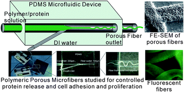 Graphical abstract: Amphiphilic triblock copolymer and a microfluidic device for porous microfiber fabrication