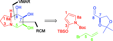 Graphical abstract: Asymmetric total synthesis of 1-deoxy-7,8-di-epi-castanospermine