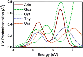 Graphical abstract: The UV absorption of nucleobases: semi-classical ab initio spectra simulations
