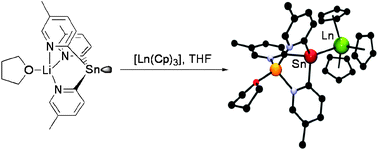 Graphical abstract: Tin–lanthanoid donor–acceptor bonds
