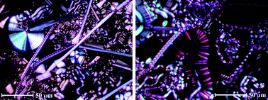 Graphical abstract: Phasmidic indigoid liquid crystals