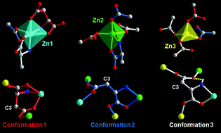 Graphical abstract: A homochiral three-dimensional zinc aspartate framework that displays multiple coordination modes and geometries