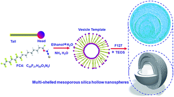 Graphical abstract: A facile vesicle template route to multi-shelled mesoporous silica hollow nanospheres