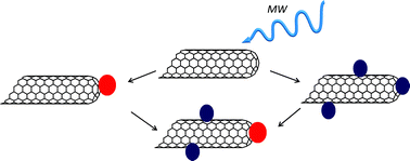 Graphical abstract: Versatile microwave-induced reactions for the multiple functionalization of carbon nanotubes