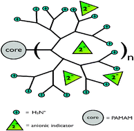 Graphical abstract: Amino-terminated PAMAM dendrimers electrostatically uptake numerous anionic indicators