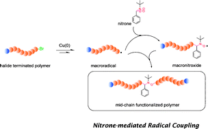 Graphical abstract: Spin capturing with nitrones: radical coupling reactions with concurrent introduction of mid-chain functionality